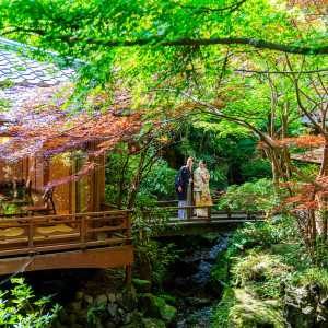 ・|うかい鳥山の写真(52520607)