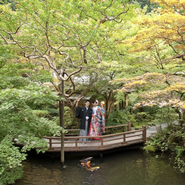 山間の澄んだ空気に包まれたうかい鳥山で記憶に残る写真を撮影いたします