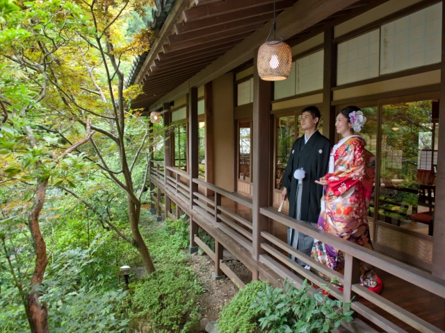 6000坪の庭園見学・会場見学