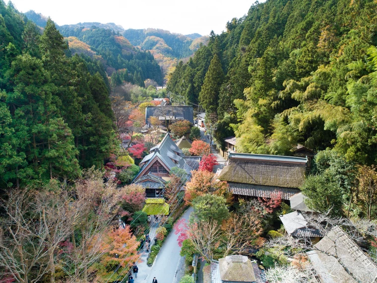 緑深き奥高尾の広大な敷地、山間の澄んだ空気に包まれて