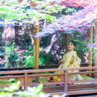 うかい鳥山