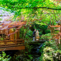 うかい鳥山