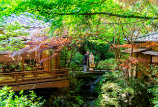 うかい鳥山
