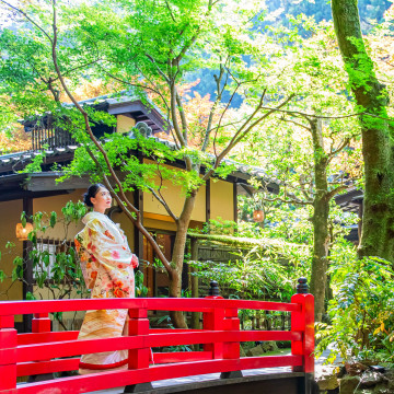 うかい鳥山