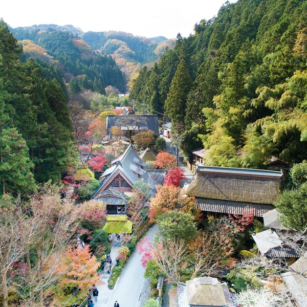 ・|うかい鳥山の写真(49158767)