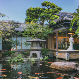 【人気No1BIG】名物濃厚水炊や和牛ステーキ含豪華コース試食×試着会