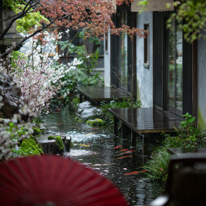 色鮮やかな錦鯉が泳ぐ池を囲むように建物を配置し、すべての部屋から季節の移ろいが彩る純和風庭園を楽しめる。|つきじ治作の写真(23213929)