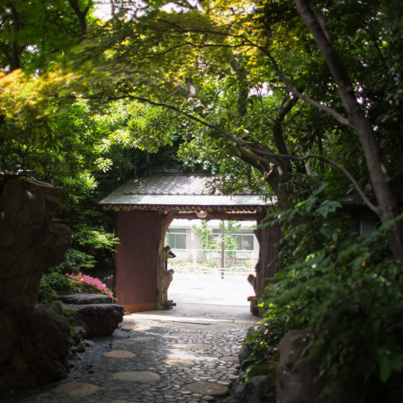 季節ごとに変わる景色「夏」 庭の木々の枝先に芽吹きが始まり、あっという間に若葉となり、清楚な雰囲気を感じられる緑の季節。爽やかな空気感を感じていただけます。|つきじ治作の写真(23213844)