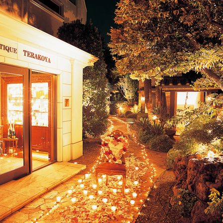 イルミネーションでのライティング|TERAKOYA（テラコヤ）/テイクアンドギヴ・ニーズウェディングの写真(225335)