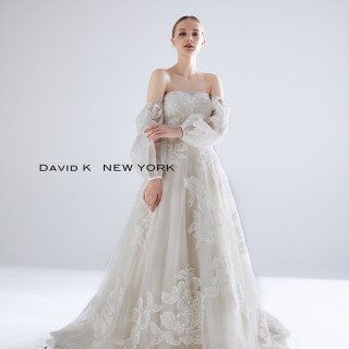 新作ドレス・DAVID K NEW YORK