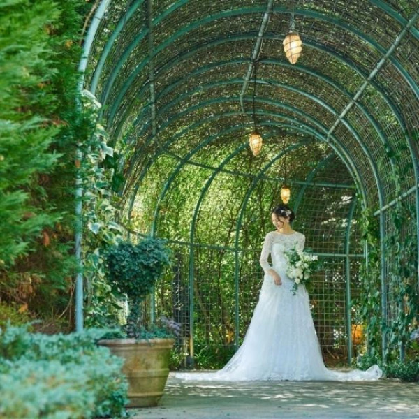 緑豊かなガーデン