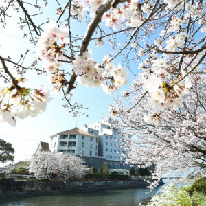 ホテル横の川沿い。春になると満開の桜が。|長崎インターナショナルホテルの写真(2461270)