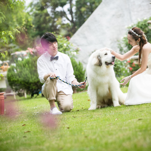 ENSOLEILLE（アンソレイエ）～VILLAGE WEDDING～