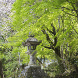 枚岡神社 境内