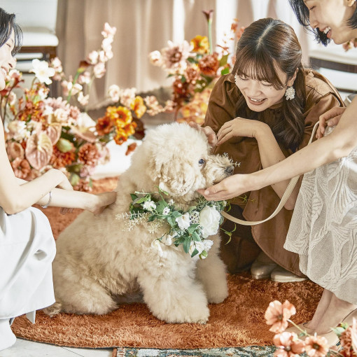 アーセンティア迎賓館（大阪）/テイクアンドギヴ・ニーズウェディング