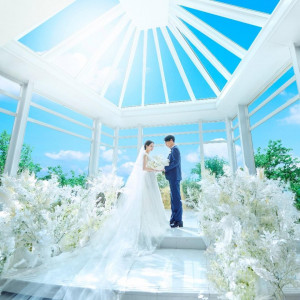 【当館人気No1★15大特典】最大155万特典×4万試食×演出体験