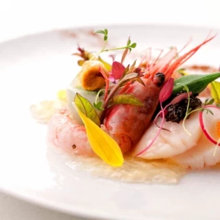 【この日限定★フル体験】大人気試食×衣裳30万優待＆ギフト7万
