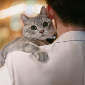 にゃんこも大歓迎！|Angepatio（アンジェパティオ）の写真(50455933)