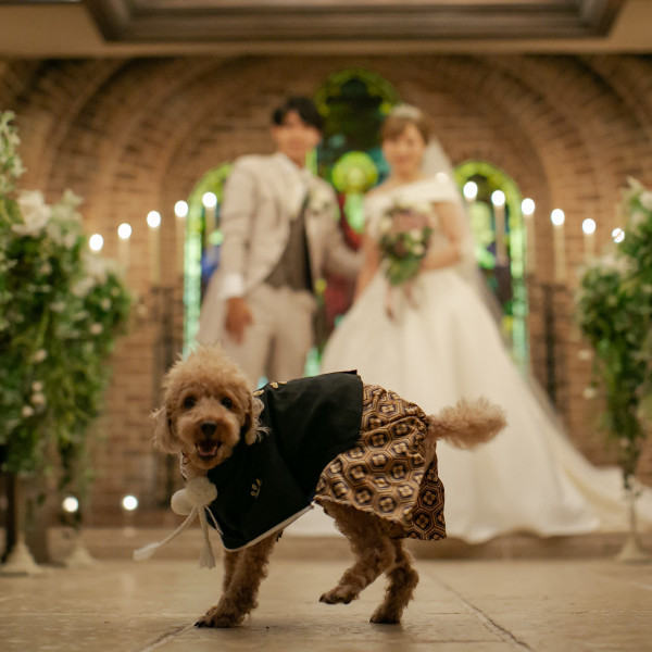 青山 表参道 渋谷のペットと一緒の結婚式ができる結婚式場 口コミ人気の8選 ウエディングパーク
