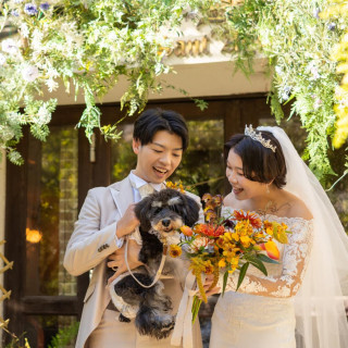 愛犬と一緒に！わんこ試食＆福袋特典付き☆2万円分試食×徹底相談会