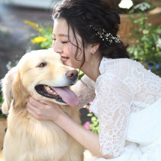 【1件目のご見学×わんこWeddingお申し込み】でワンコ3大アイテムプレゼント