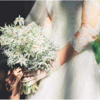 【ご予算重視に!】当フェア限定110万円特典*徹底比較&試食*