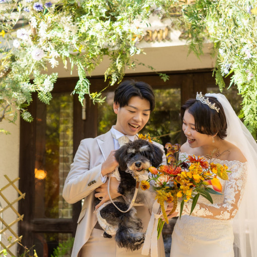 Angepatio（アンジェパティオ）