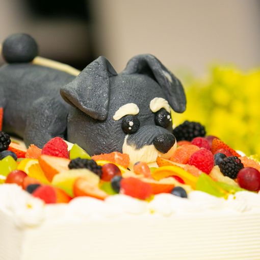 Angepatio（アンジェパティオ）の結婚式の公式写真（3枚目）