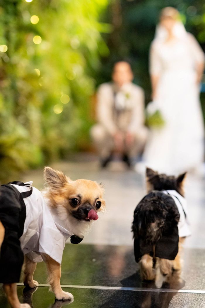 大型犬も全館可能！お二人にとっての大切なご家族と一緒に一日を過ごせます