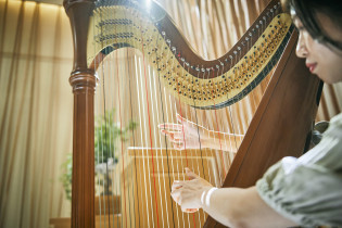 素敵な音色でパーティーを彩る|山手迎賓館（神戸）/テイクアンドギヴ・ニーズウェディングの写真(47309538)