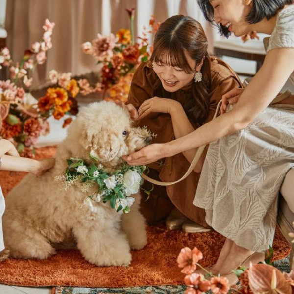 元町のロケーションと共に愛犬とフォトシューティングも楽しめるのが嬉しい♪