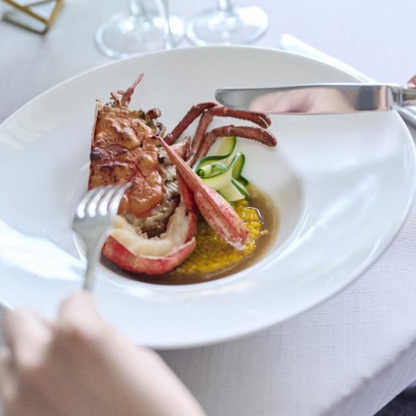 シェフ厳選のフレンチ