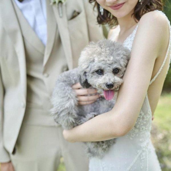 ペットも大切な家族。一組貸切で過ごせる結婚式だからこそ実現。当日は愛犬もドレスアップして♪