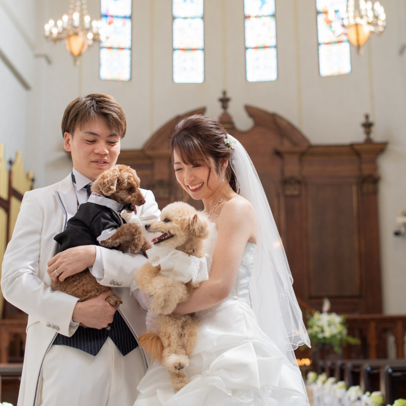 フォト ウェディング ペット 神奈川 クリアランス