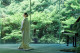 FOREST TERRACE 明治神宮・桃林荘