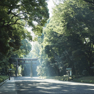 この地に「永遠に続く杜をつくりたい」という人々の想いを込め造られた、明治神宮の杜|FOREST TERRACE 明治神宮・桃林荘の写真(36386365)