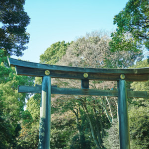 この地に「永遠に続く杜をつくりたい」という人々の想いを込め造られた、明治神宮の杜|FOREST TERRACE 明治神宮・桃林荘の写真(36386364)
