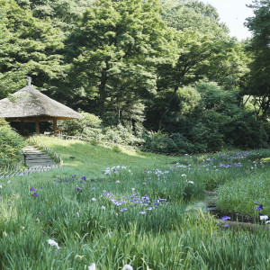 この地に「永遠に続く杜をつくりたい」という人々の想いを込め造られた、明治神宮の杜|FOREST TERRACE 明治神宮・桃林荘の写真(35594714)