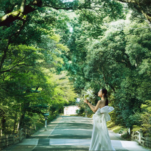 この地に「永遠に続く杜をつくりたい」という人々の想いを込め造られた、明治神宮の杜|FOREST TERRACE 明治神宮・桃林荘の写真(36386238)