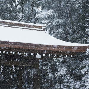 この地に「永遠に続く杜をつくりたい」という人々の想いを込め造られた、明治神宮の杜|FOREST TERRACE 明治神宮・桃林荘の写真(35594701)