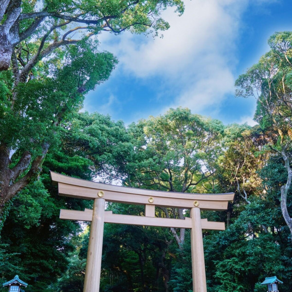 【組数限定】の夏婚プランです