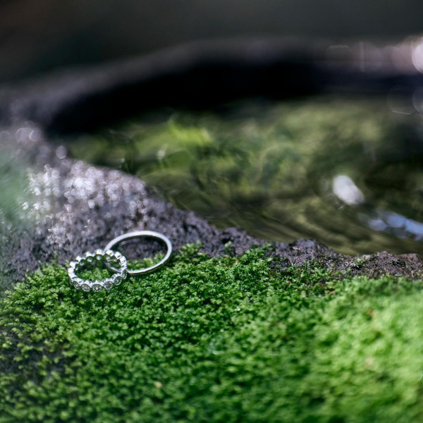 【組数限定】の夏婚プランです