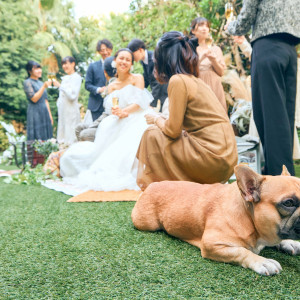 愛犬と一緒のウエディングもOK◎|ホテルグランドティアラ南名古屋の写真(46261913)
