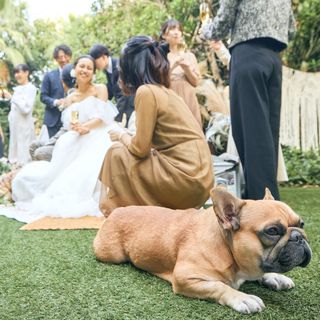 【地元で紡ぐWedding】最大110万円優待×絶品試食×2万円ギフト
