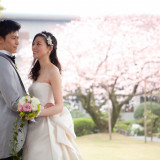 萃香園ホテルを華麗に彩る桜の樹木