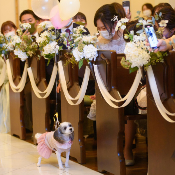 ワンちゃんもセレモニーに参加◇祝福に包まれる温かなリングドッグセレモニー