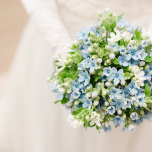 小さな青いお花はブルースター。花嫁の幸福を意味するお花。|アールベルアンジェ チャぺル嵯峨野の写真(1208292)