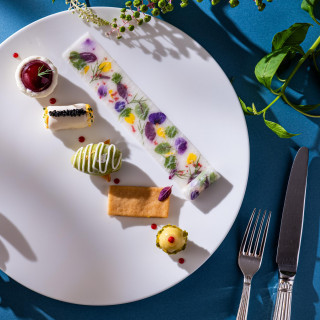 思わず写真を撮りたくなるような華やかな前菜