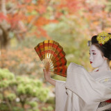 舞妓さん演出