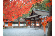 桜鶴苑